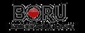 Boru Ramen Noodle & Poke Bar