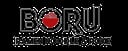 Boru Ramen Noodle & Poke Bar