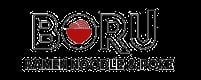 Boru Ramen Noodle & Poke Bar